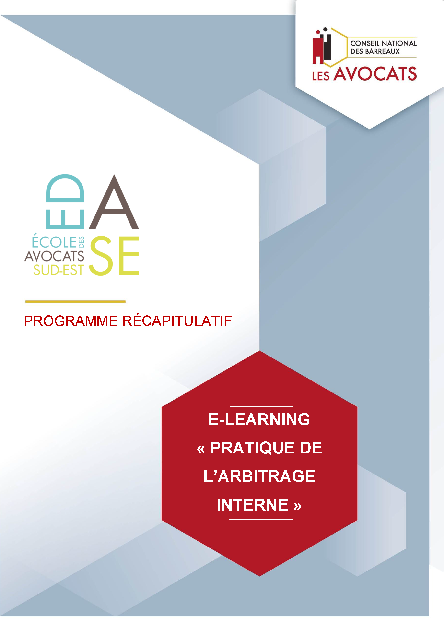 PRATIQUE DE L'ARBITRAGE INTERNE - E-LEARNING 2025