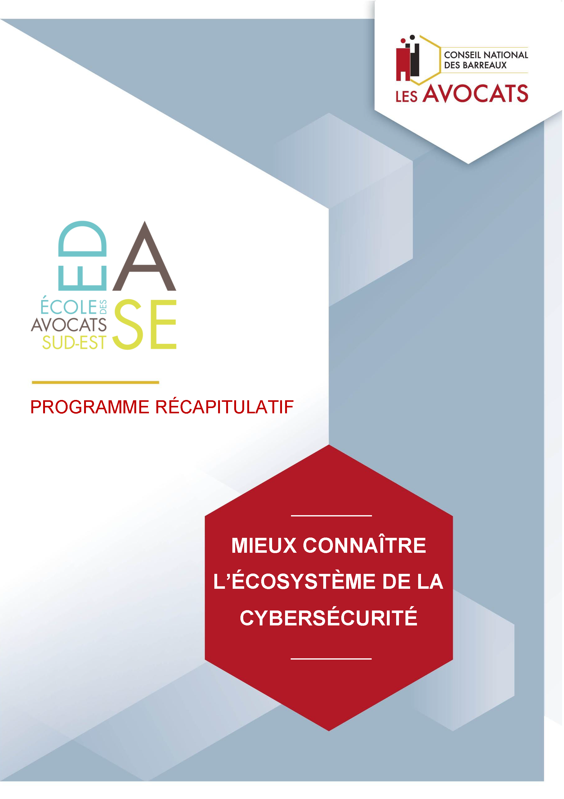 PANORAMA DE LA CYBERSÉCURITÉ ET DE LA CYBERCRIMINALITÉ - VOLET I - MIEUX CONNAITRE L'ÉCOSYSTÈME DE LA CYBERSÉCURITÉ - E-LEARNING 2025