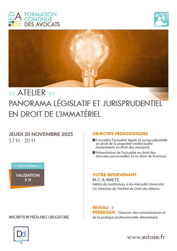 PANORAMA LÉGISLATIF ET JURISPRUDENTIEL EN DROIT DE L'IMMATÉRIEL